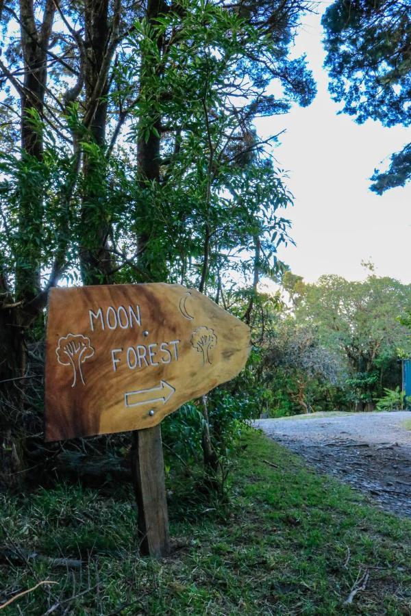 Moon Forest Apartments Monteverde Luaran gambar